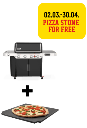 Pizza Stone for free (*Worth up to 119,99 €)  incl. free shipping