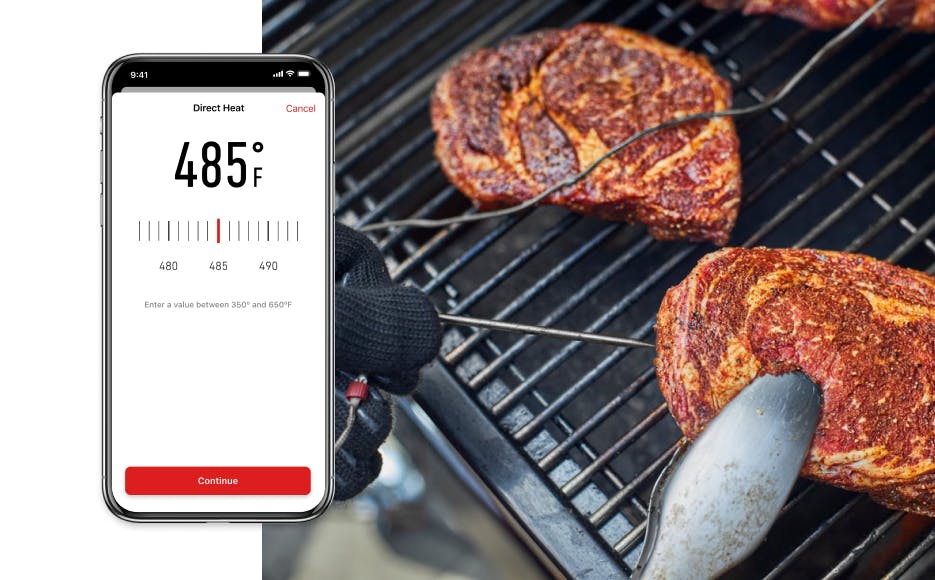 Temperaturkontrolle, Überwachung und Warnungen per Smartphone