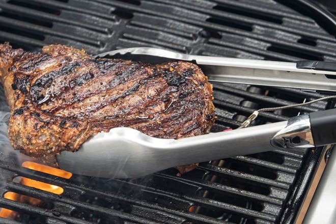 Weber Traveler Portable Gas Grill, Steak Weber Traveler Portable Gas Grill, Steak