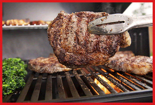weber traveler