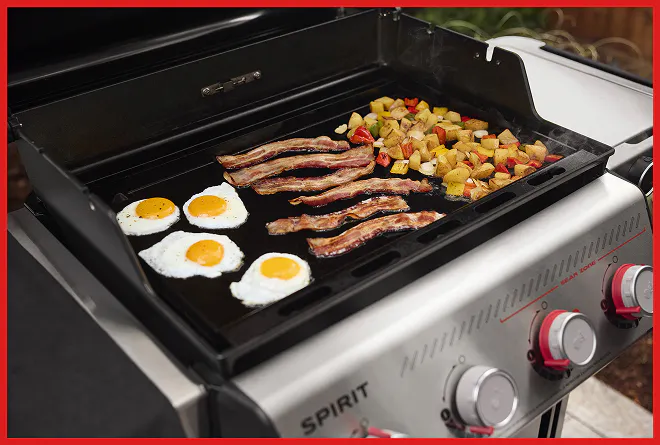 SAVE ON SELECT GRIDDLE INSERTS