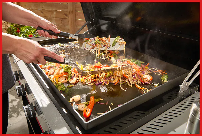UP TO $50 OFF SLATE&reg; GRIDDLES & INSERTS, UP TO $10 OFF ACCESSORIES