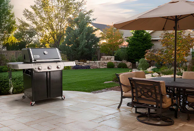 the spring collection