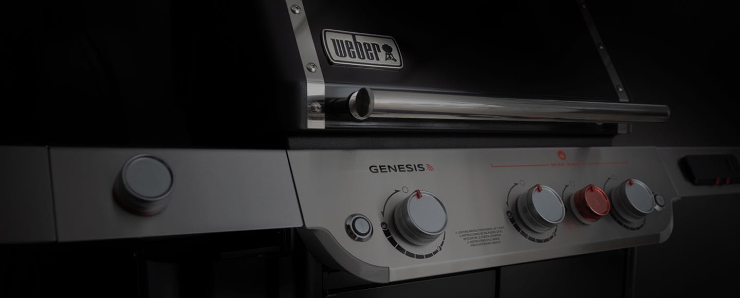 weber genesis new model