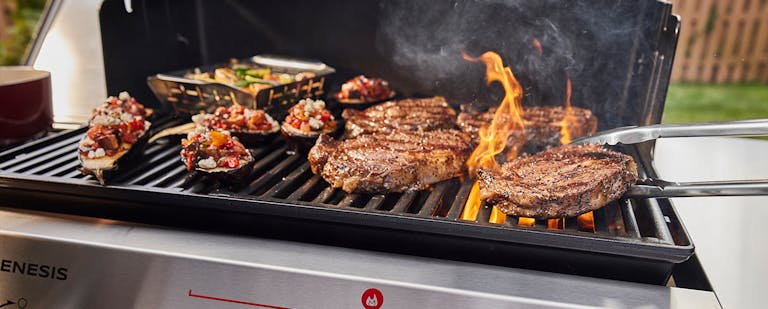 Steak and Vegetable Grilled Genesis