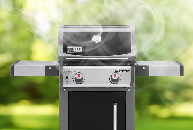 Weber Spirit grill with smoke